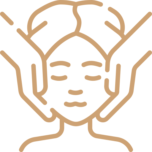 spa icon